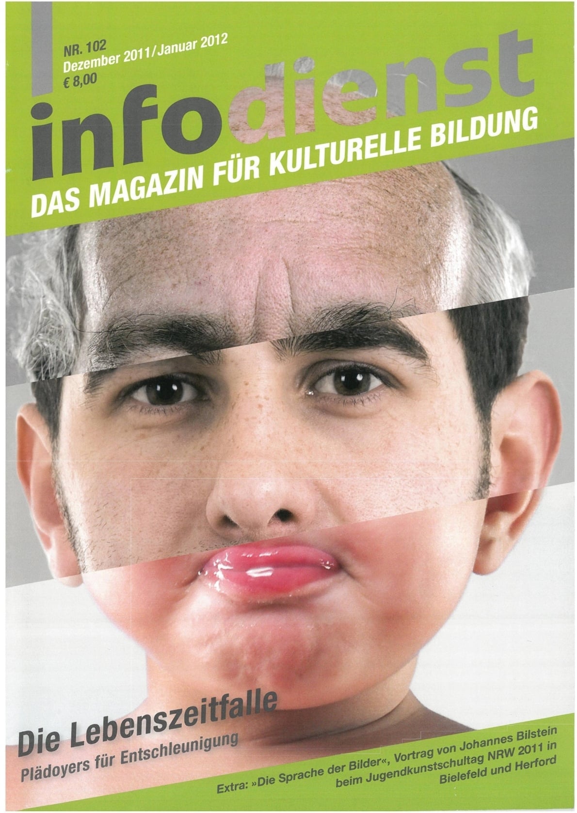 Die Lebenszeitfalle. Plädoyers für Entschleunigung